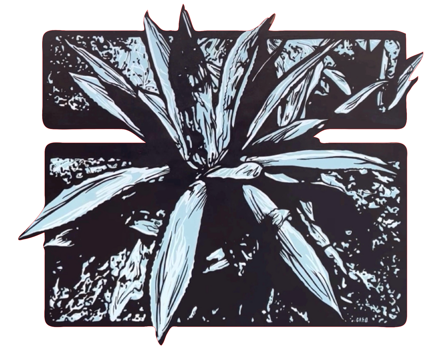 Agave de Chipinque I