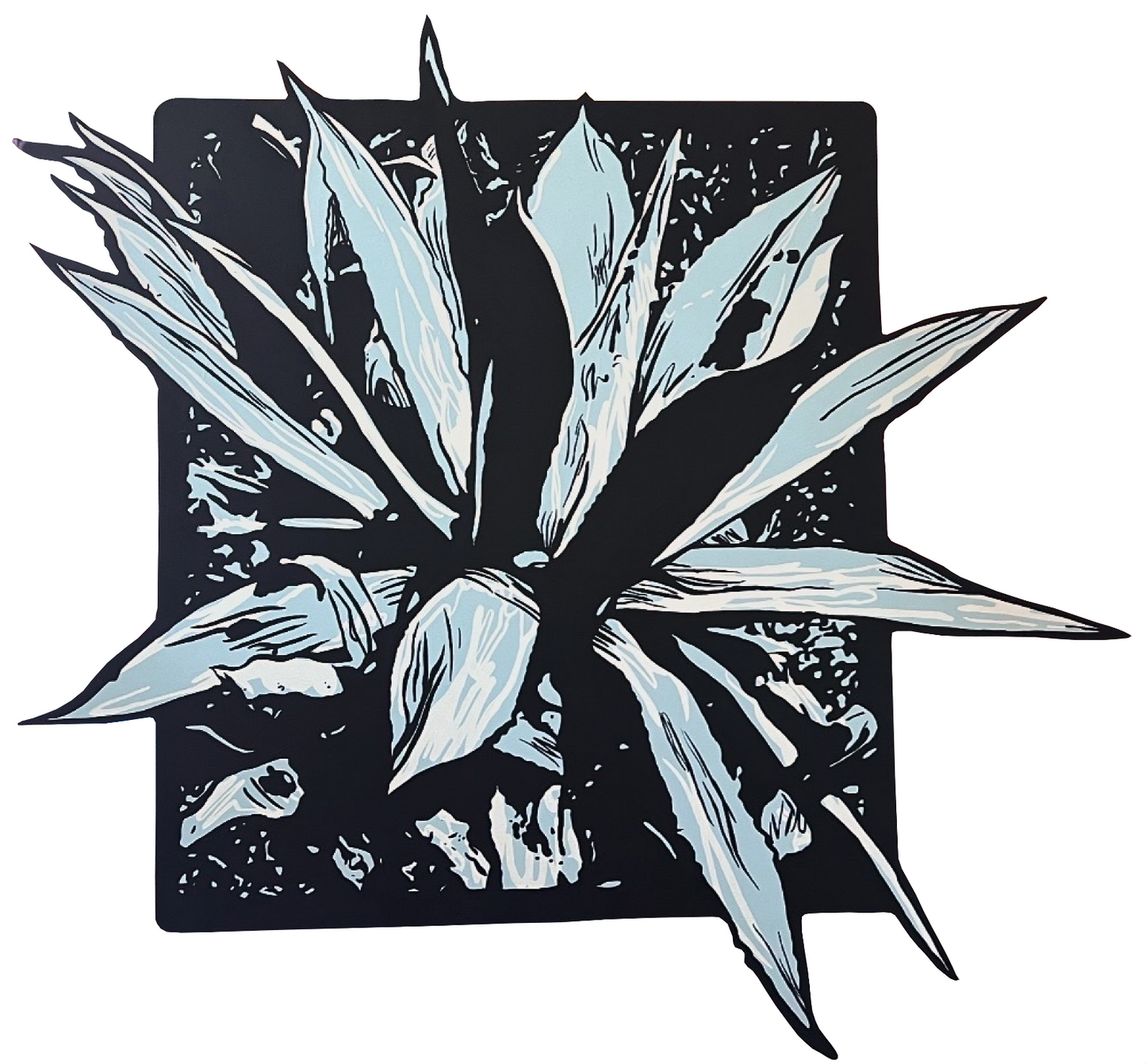 Agave de Chipinque II
