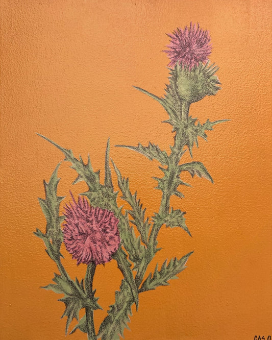 Flores Chipinque II