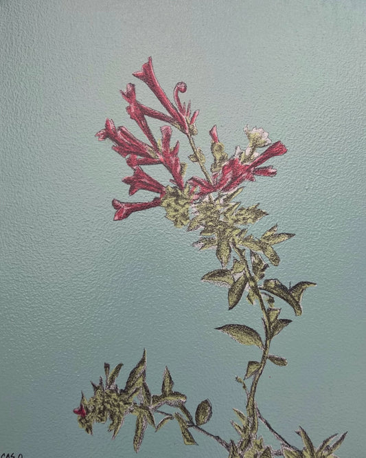 Flores Chipinque III