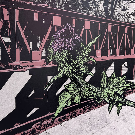 Flores del Progreso